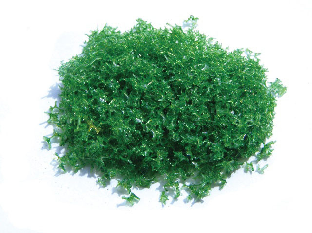 Tree Sponge Powder Tree powder for model tree are tree sponge ,tree foliage spongeT-2012
